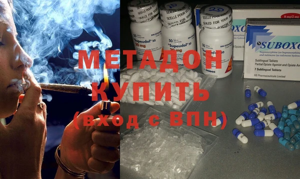 PSILOCYBIN Аркадак