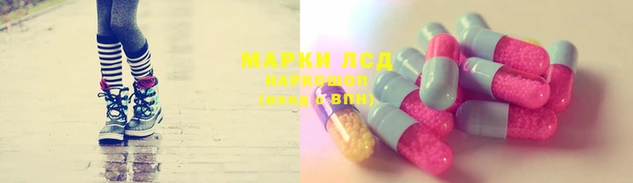 PSILOCYBIN Аркадак