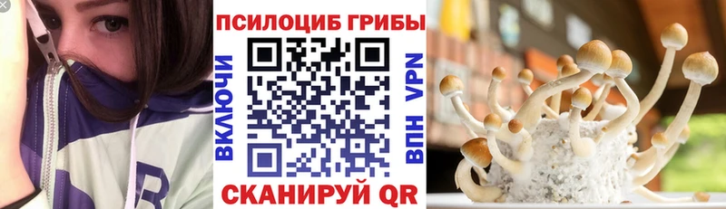 Псилоцибиновые грибы Psilocybine cubensis  Приволжск 